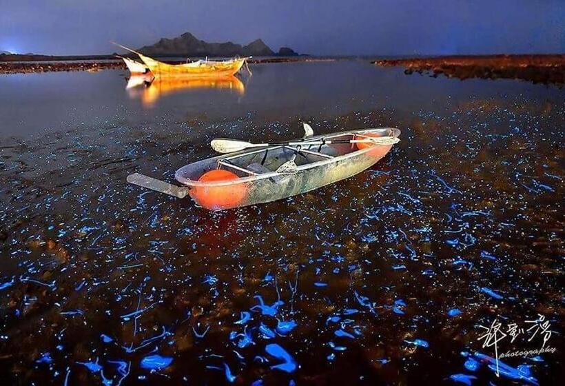 هاستل God’s Queen Esther