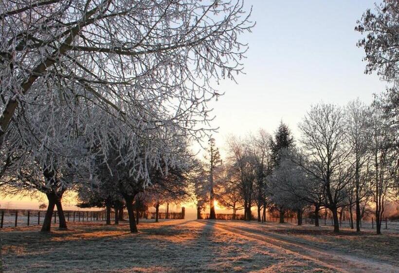 بنسيون Rouge Maison