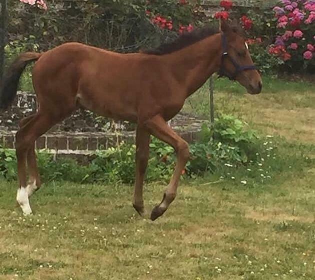 بنسيون Rouge Maison