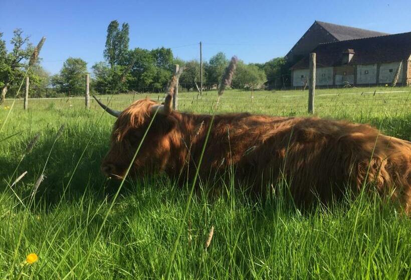 بنسيون Rouge Maison