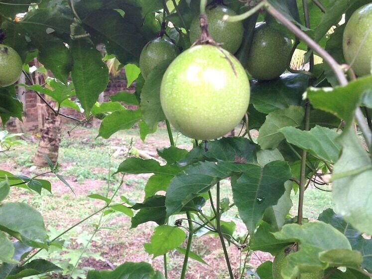 膳宿费 The Villa Sun Shine