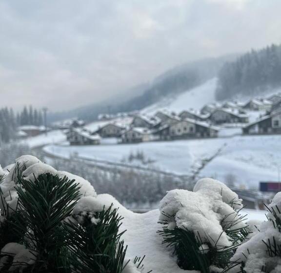 Отель Chalet Blanc