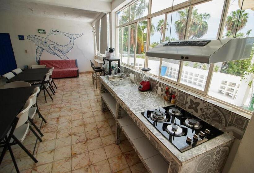 هاستل Casa Ceci Inn