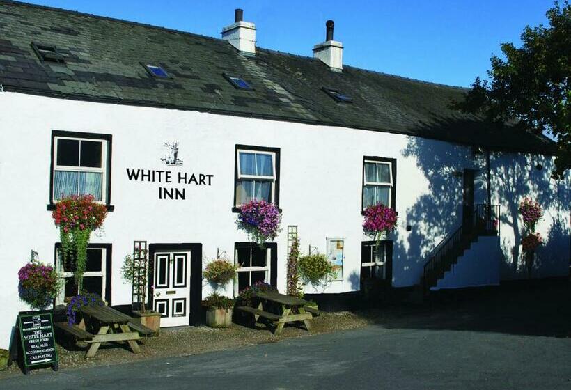 הוסטל White Hart Inn
