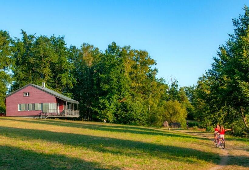 Goélia Le Domaine Des Nouailles