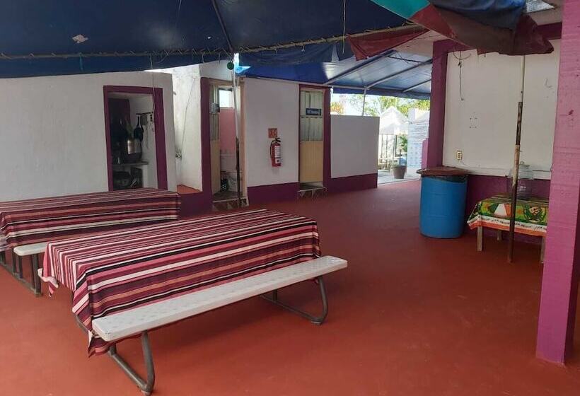 فندق Ayalamar Manzanillo