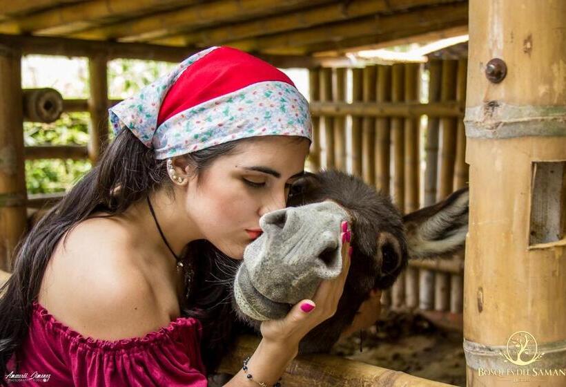 هتل Bosques Del Saman Alcala