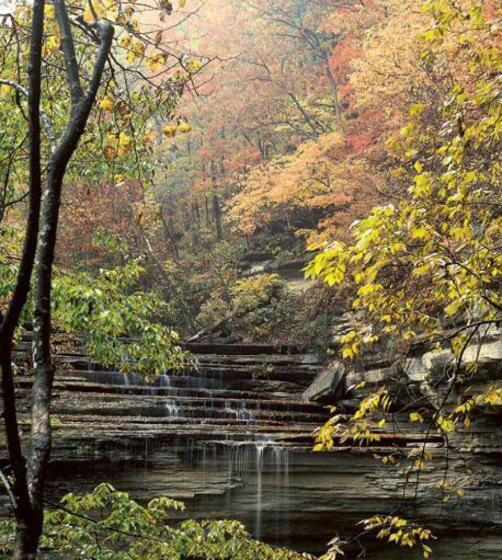 فندق Clifty Inn