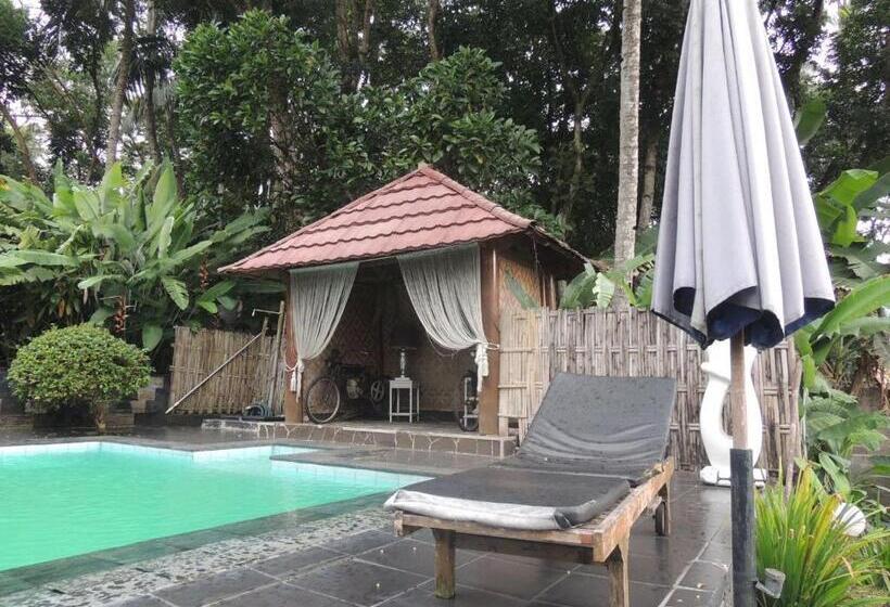 Пансион Oase Van Java