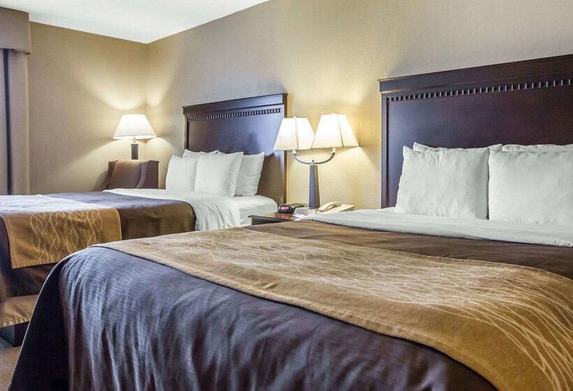 Отель Comfort Inn & Suites Near Tinley Park Amphitheater