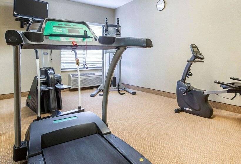 Отель Comfort Inn & Suites Near Tinley Park Amphitheater