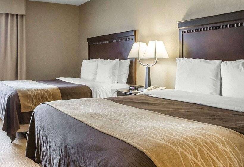 Отель Comfort Inn & Suites Near Tinley Park Amphitheater