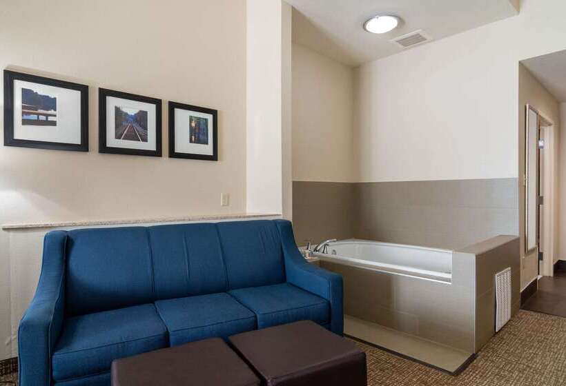 هتل Comfort Suites Byron Warner Robins