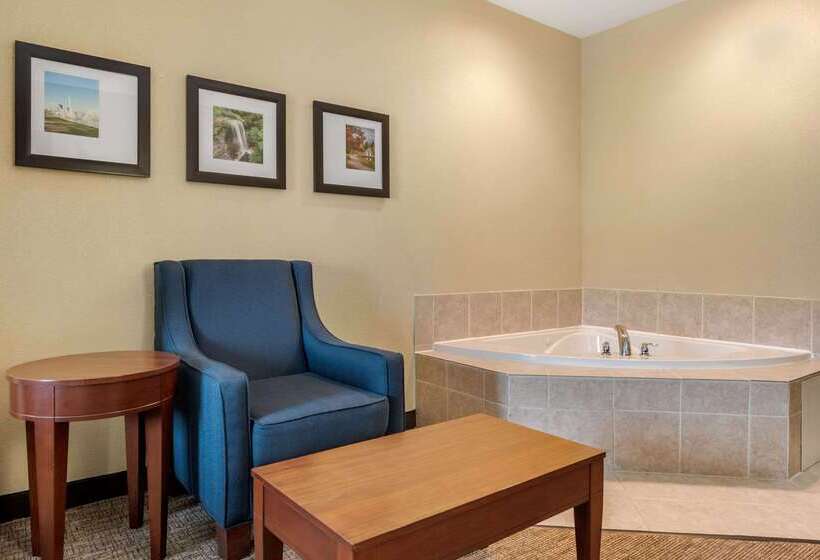 هتل Comfort Suites Daytonwright Patterson