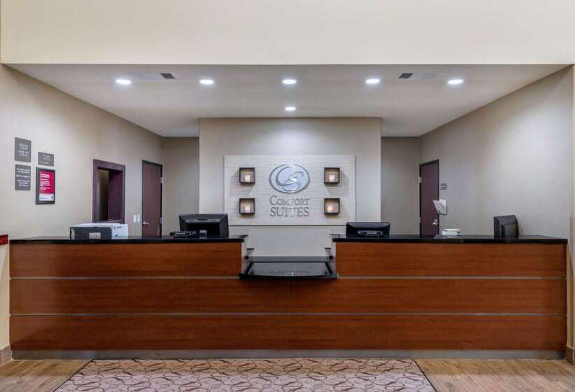 酒店 Comfort Suites