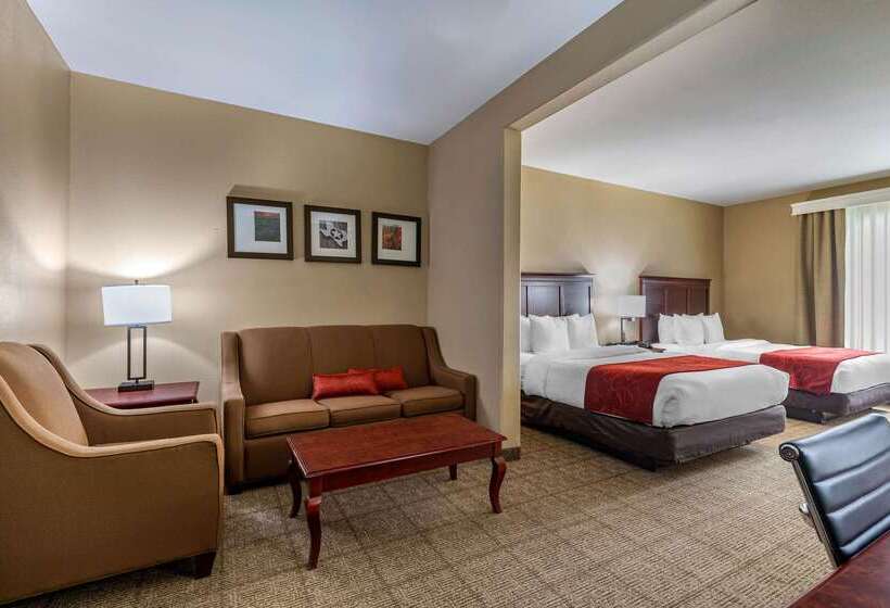 酒店 Comfort Suites