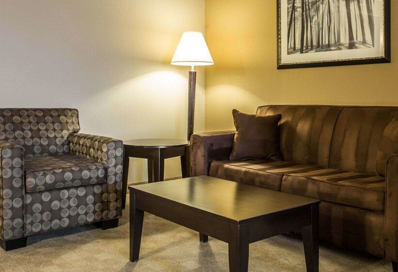 ホテル Comfort Suites Lake Norman  Huntersville