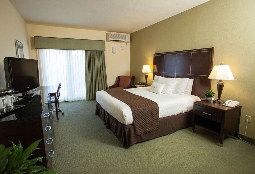 Отель Doubletree By Hilton Napa Valley American Canyon