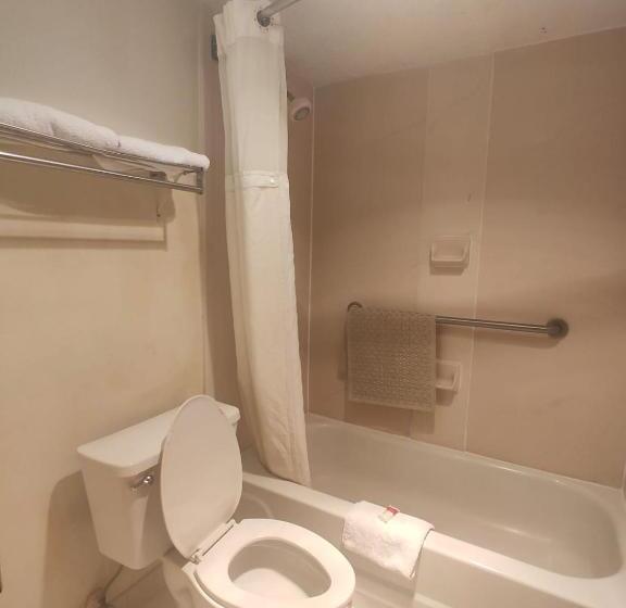 فندق High Springs Inn