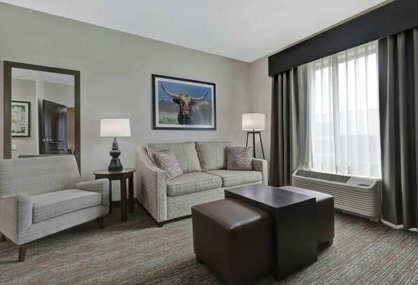هتل Homewood Suites By Hilton Mcallen