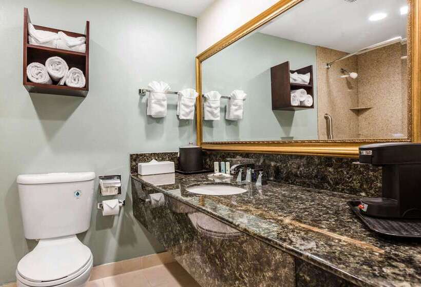 فندق Comfort Inn & Suites Irvine Spectrum