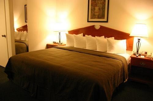 فندق Portofino Beach Inn