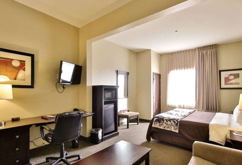 בית מלון כפרי Sleep Inn & Suites University
