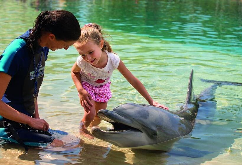 هتل Wyndham Resort Surfers Paradise