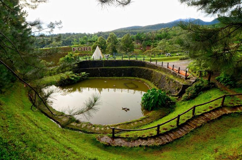 فندق Dahilayan Forest Park Resort