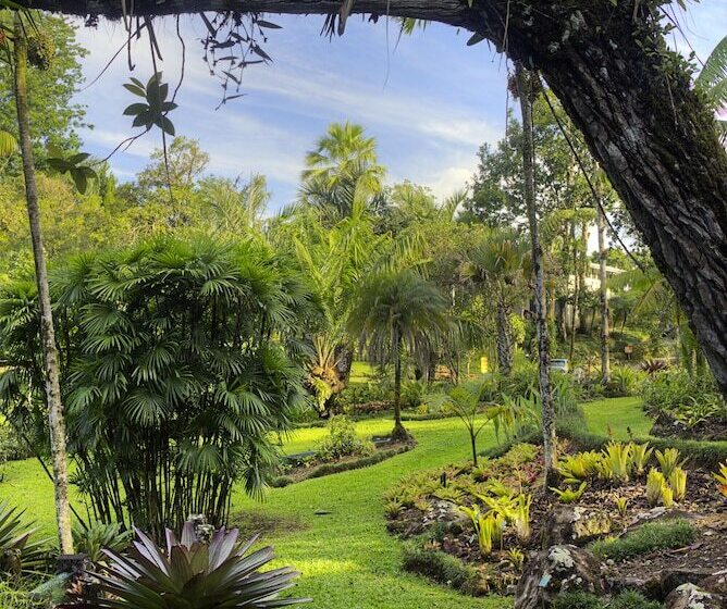 فندق Las Cruces Biological Station