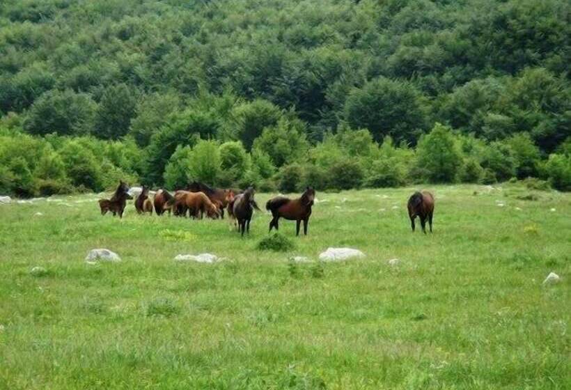 هتل To Archontiko Guesthouse Villa