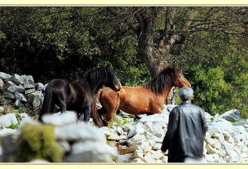 هتل To Archontiko Guesthouse Villa