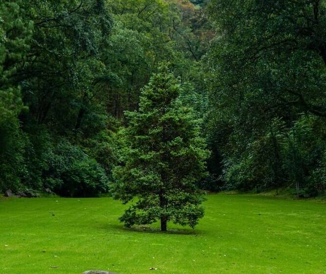 בית מלון כפרי Sierra Lago