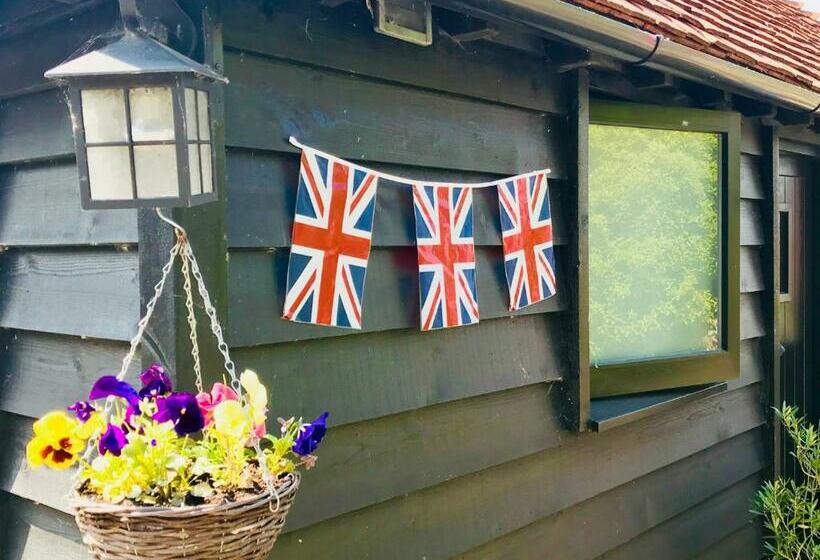 مبيت وإفطار The Cow Hide