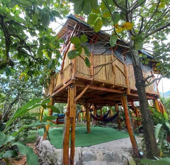 هتل Villa Sonia Eco Hostel