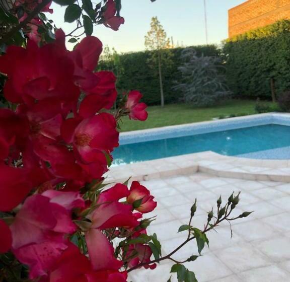 هاستل Posada “la Margarita”