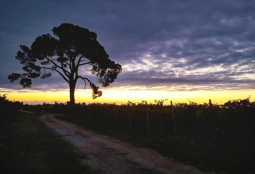 تختخواب و صبحانه Pie Castello