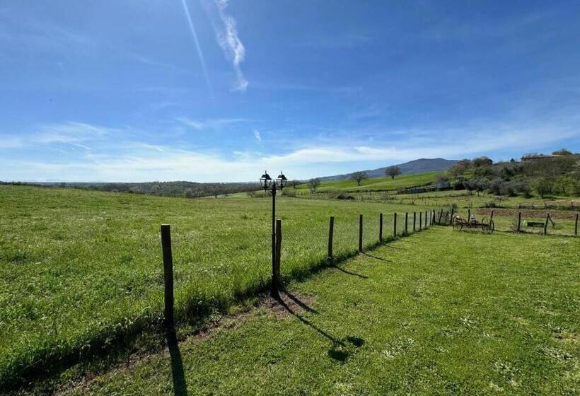 فندق Agriturismo Poggio Degli Ulivi