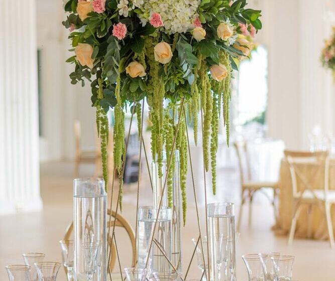 فندق Fogo Resort