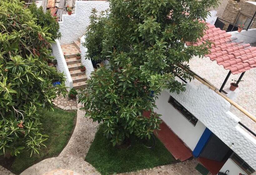 ホテル Las Palmeras Eco Hostel