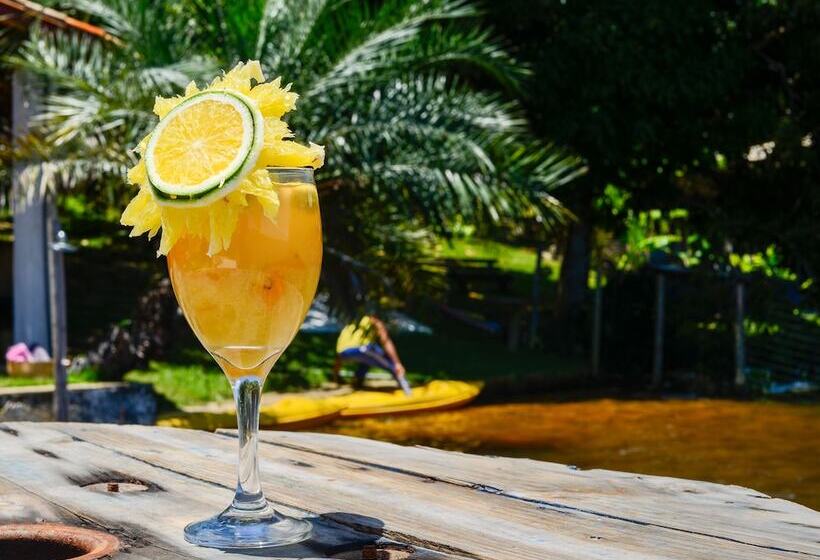 膳宿费 Pousada Bellatrix Ecolodge   Reserva De Sapiranga   Praia Do Forte   Bahia