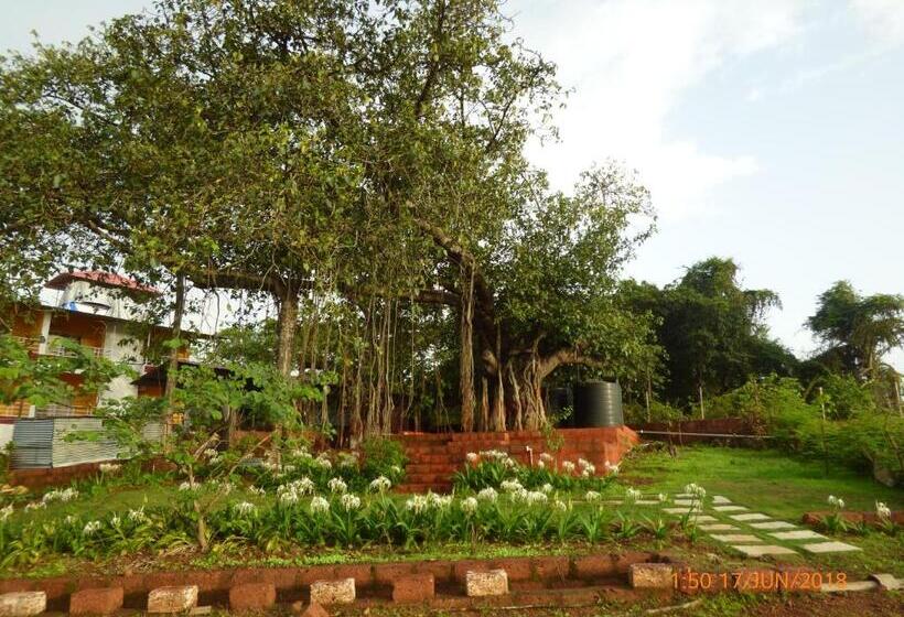 فندق صغير Pinacle Inn