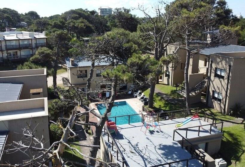 Complejo Azul Marino