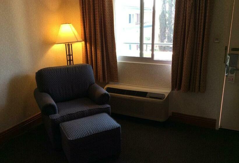 فندق على الطريق New Century Inn