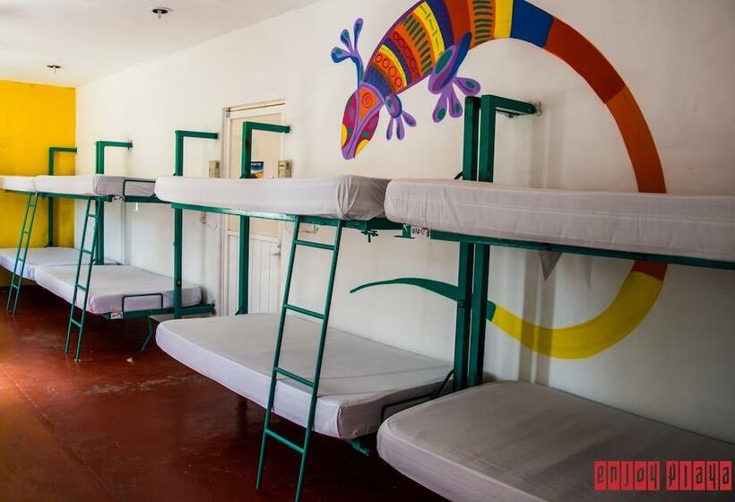 Hotelli Enjoy Playa Hostel