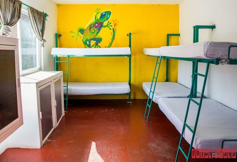 Hotelli Enjoy Playa Hostel