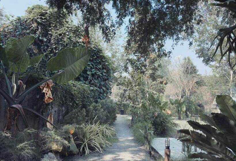 فندق Rewild Camp And Cafe