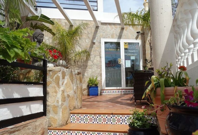 Hostal La Paloma Ii   Hotel Calpe Grupo