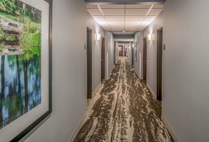 هتل Best Western Premier Bryan College Station