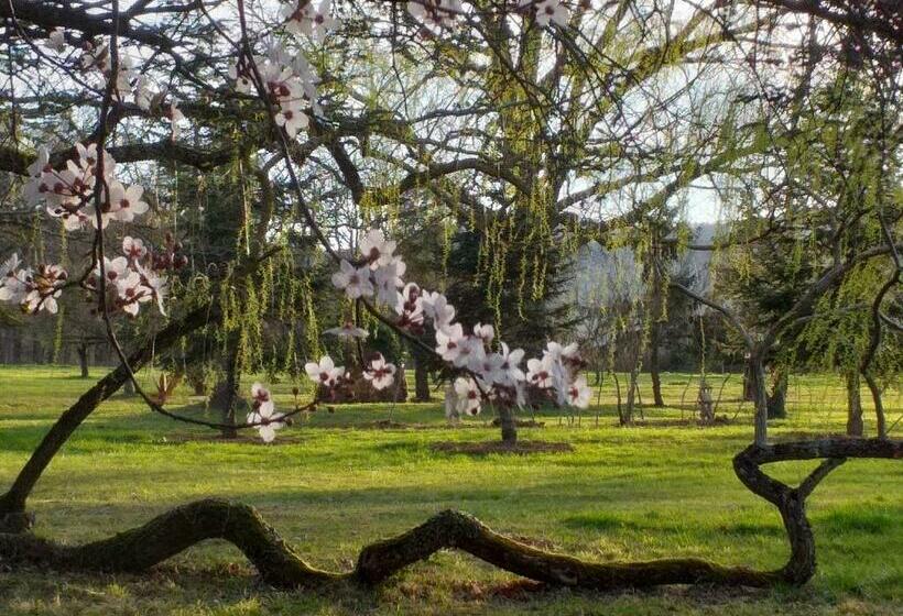 مبيت وإفطار Domaine Berenguer